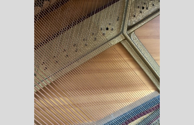 Rippen Satin Rosewood Cantabile Upright Piano, Used - All Inclusive Premium Package (SN:195515) - Image 12